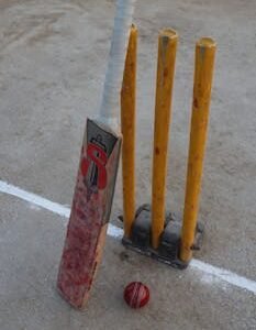 Cricket